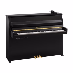 Yamaha B10 SC3