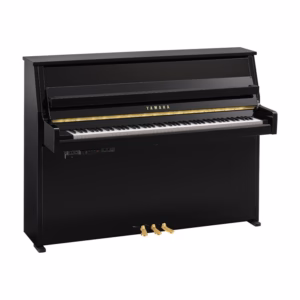 Yamaha B10TC3