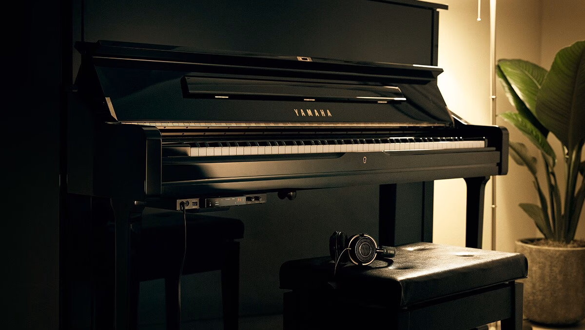 Yamaha b20 sc2