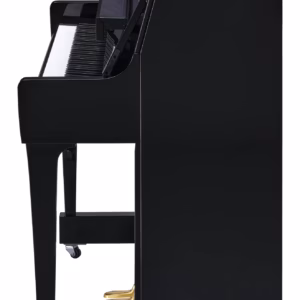 Yamaha B20 SC3