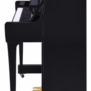 Yamaha b30